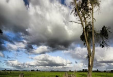 印度羽毛球选手实力出众，成功晋级：揭秘他们的成功之路