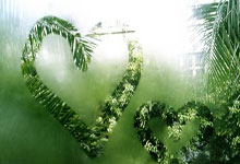 埃及女足选拔赛选拔青少年新人：激发下一代足球热情