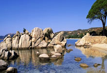 总决赛疑云重重，球队备战心态积极